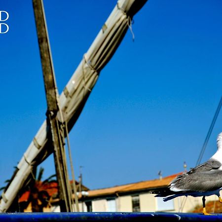Le Neptune Appartement T2 Tout Confort Au Calme Et A Deux Pas De La Plage Le Grau-du-Roi Εξωτερικό φωτογραφία